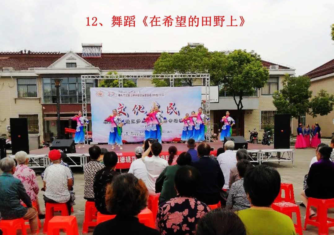 12、舞蹈《在希望的田野上》.jpg