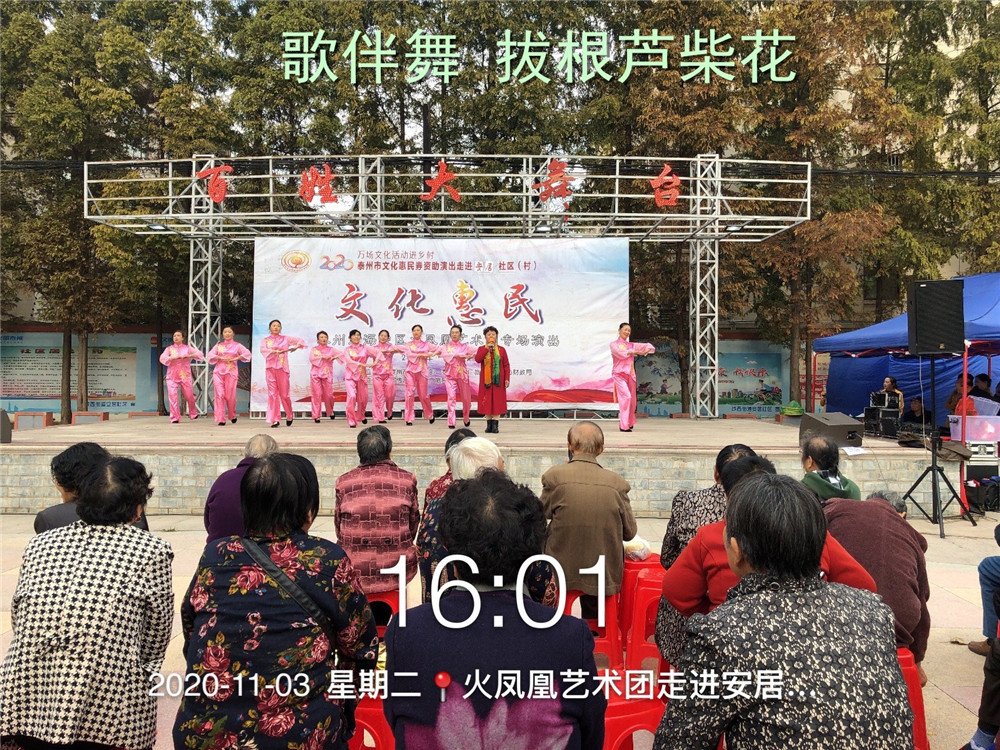 9歌伴舞 拔根芦柴花.jpg